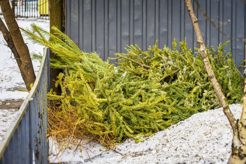 Seasonal Wildlife Issues Homeowners Should Watch For